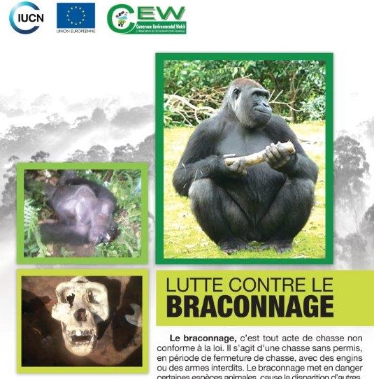 Affiche-BRACONNAGE2